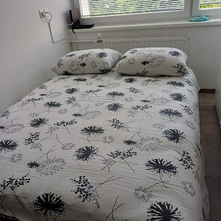 Apartma Nadja Maribor Zewnętrze zdjęcie