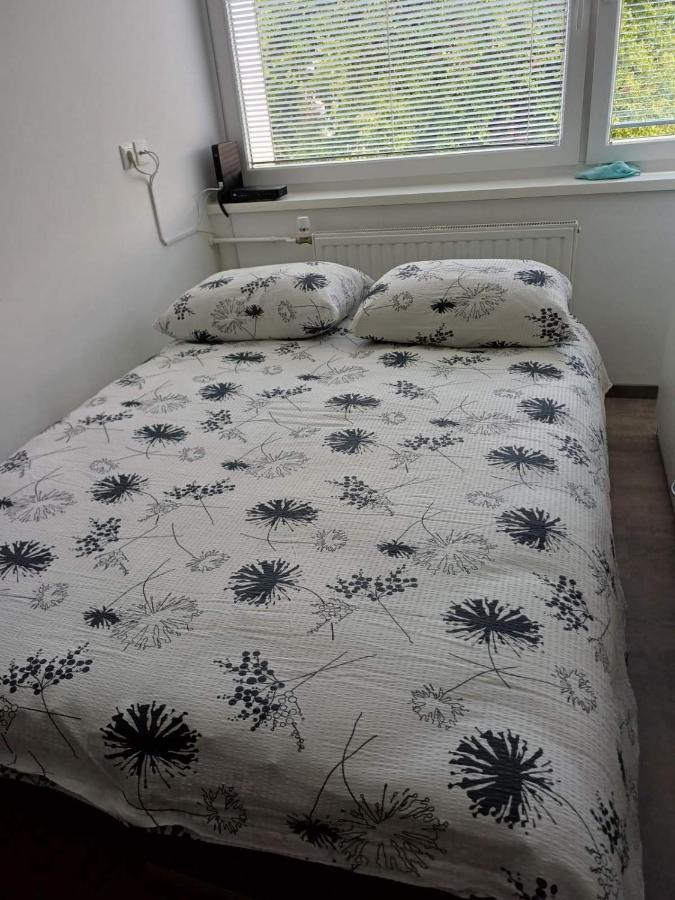 Apartma Nadja Maribor Zewnętrze zdjęcie